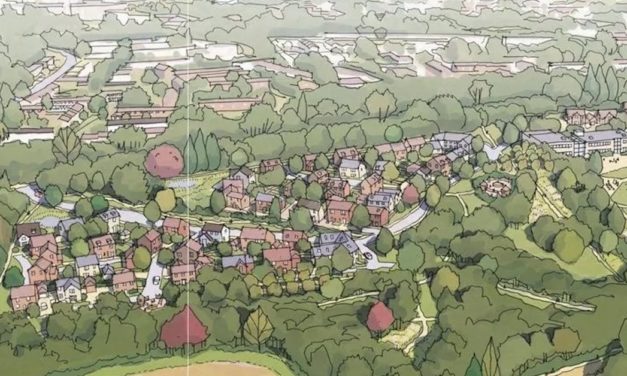 Plans unveiled for 120 homes on current Green Belt land