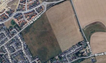 170 homes planned for Benson
