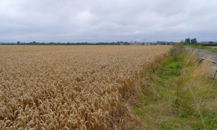 SODC Local Plan deadlock could be broken