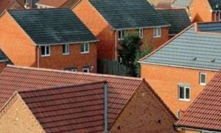 ‘Re-examine the Green Belt for homes in the Oxford – Cambridge Arc’