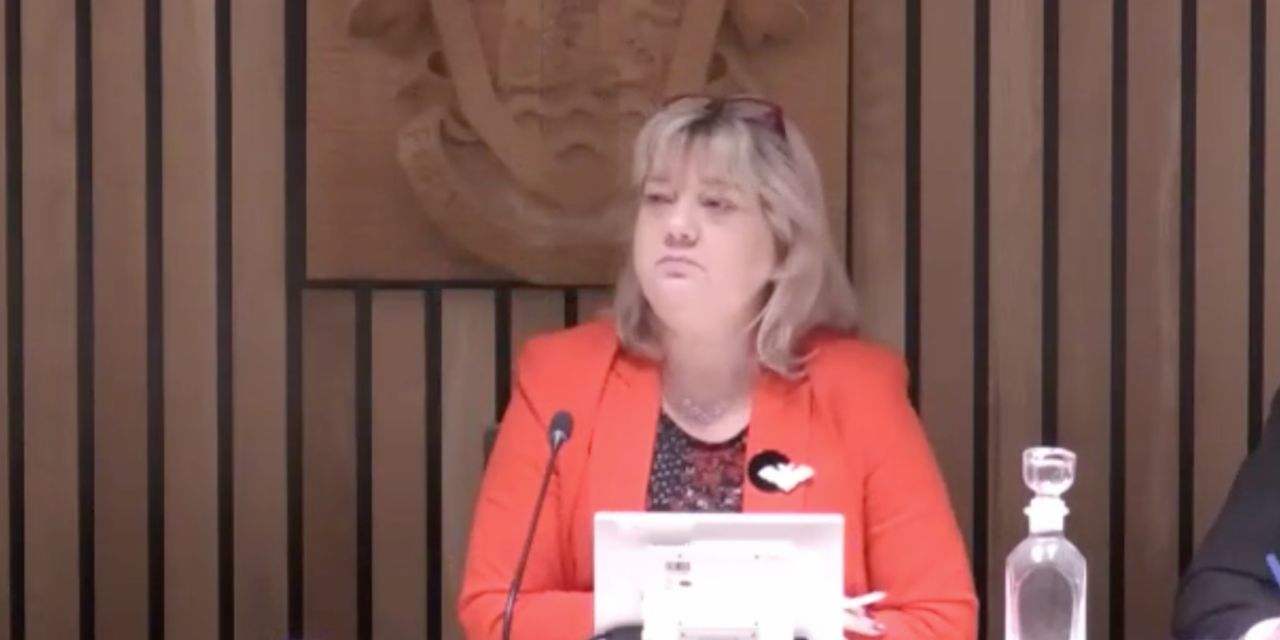 Guildford planning meetings to go online