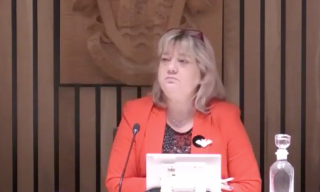 Guildford planning meetings to go online