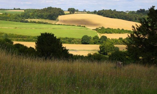 What next in Chiltern & South Bucks Local Plan chaos?