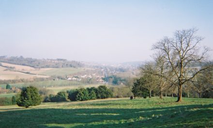 Inspector says councils failed to engage