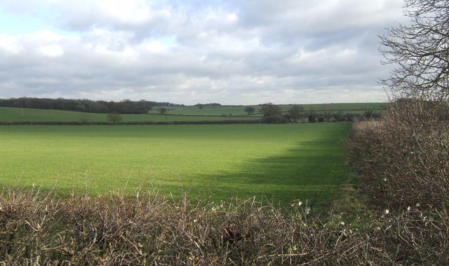 Judicial review bid launched into South Oxfordshire Local Plan