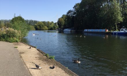 View from the riverbank: Is the Thames Valley going grey?