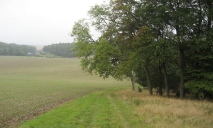 SODC asks for five-year land supply rule change