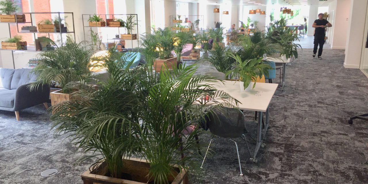 Thriving workspace is denied Government Covid relief