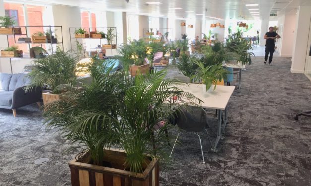 Thriving workspace is denied Government Covid relief