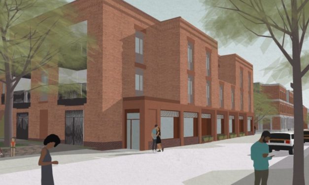 Mole unearth resi planning application in Wolverton