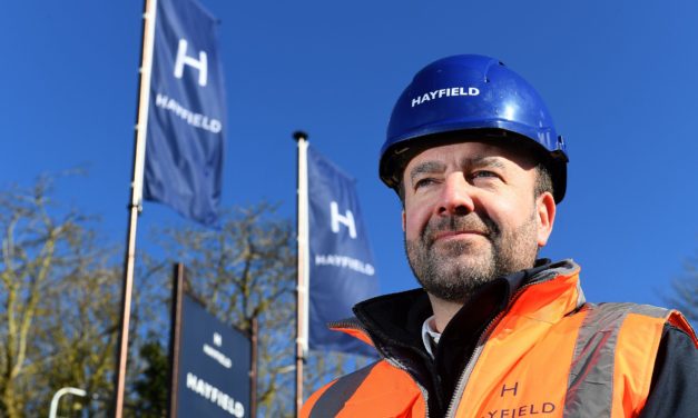 Hayfield appoints Ken Mulpeter
