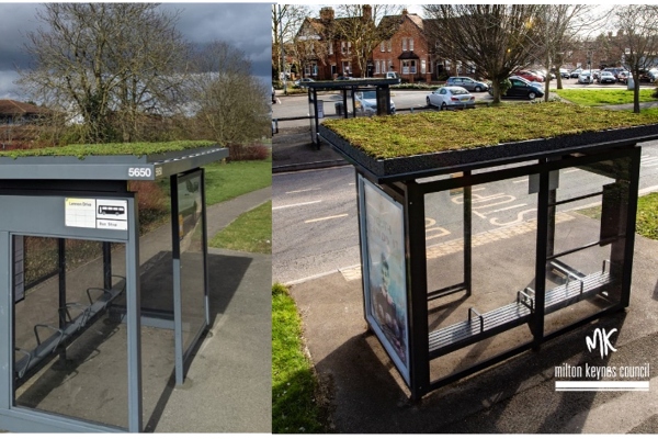 All aboard for green bus shelters in Milton Keynes