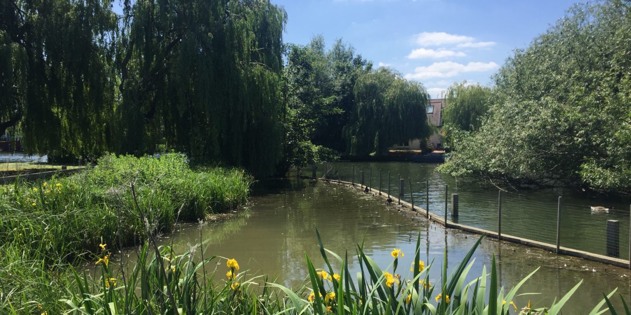 View from the riverbank: The Green Belt or the green collar?