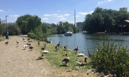View from the riverbank: Time to loosen the Green Belt