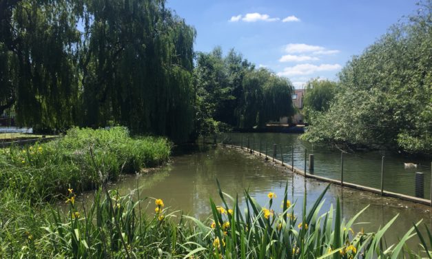 View from the riverbank: the pandemic of short-term thinking