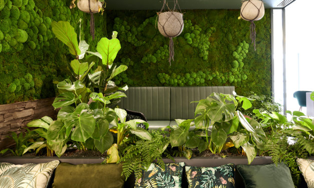 Occupiers seek to upgrade offices