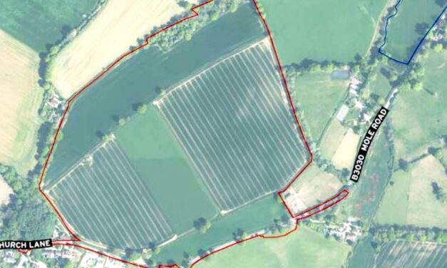 Plans submitted for up to 430 homes at Arborfield