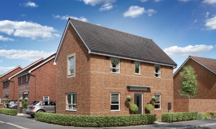 Abbey Fields goes on show