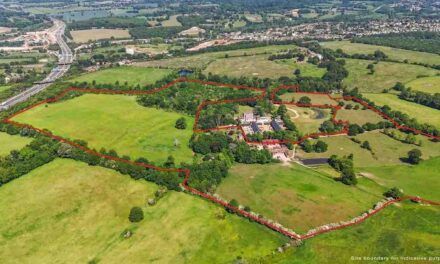 Essex farm on the market with Savills