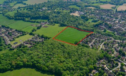 Savills reports unceasing demand for land