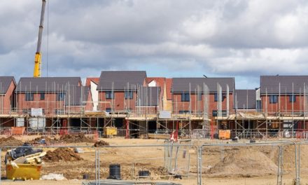Essex Housing’s annual delivery plan approved