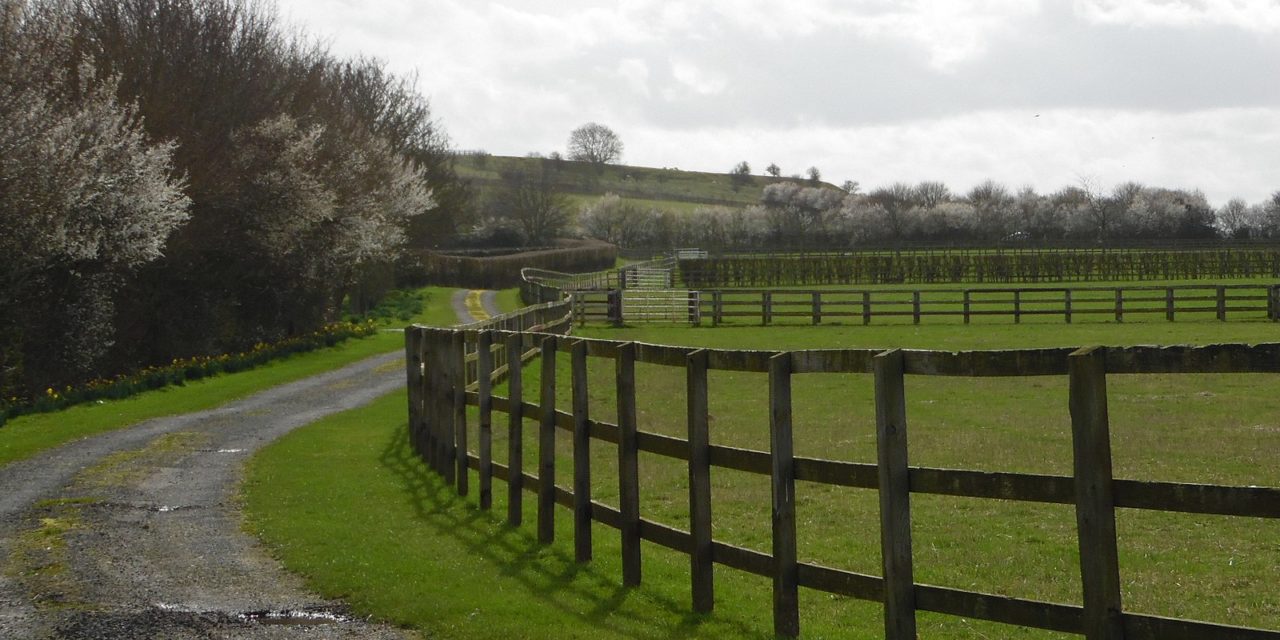 New neighbourhood plan pilots for Oxfordshire