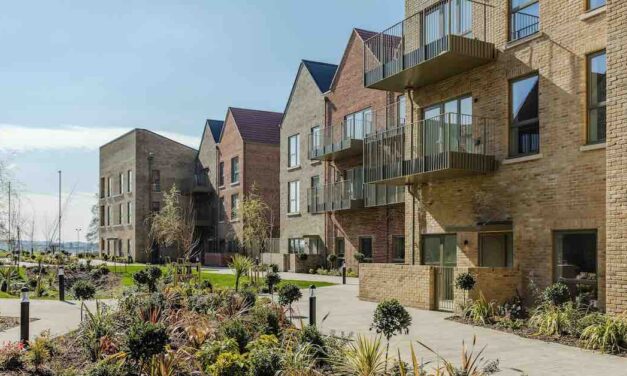 Hill Group reports record profits again