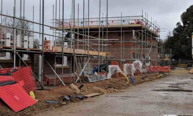 Basingstoke seeks to slow down house building