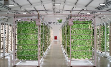 Innovation Agri-Tech Group and University of Essex secure funding to create £3.5m facility