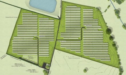 Green light for Norfolk solar park