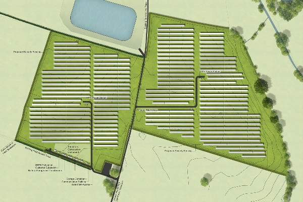 Green light for Norfolk solar park