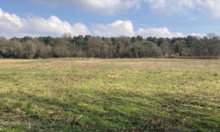 New science park and homes under consultation