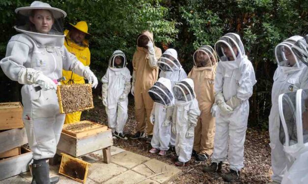 Occupiers meet the bees at Milton Park