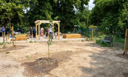 Hounslow creates new allotments