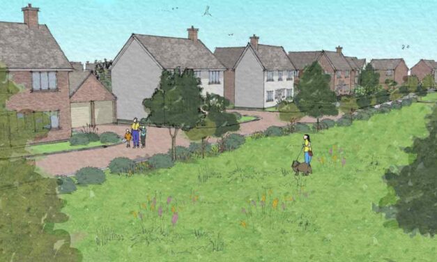 Pigeon lands permission for 485 homes after councils drop objections