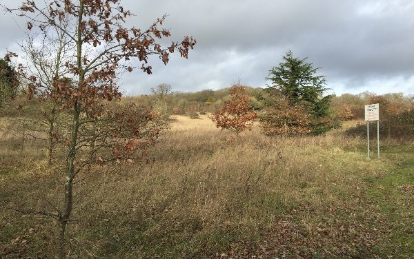 Pincents Lane refused again