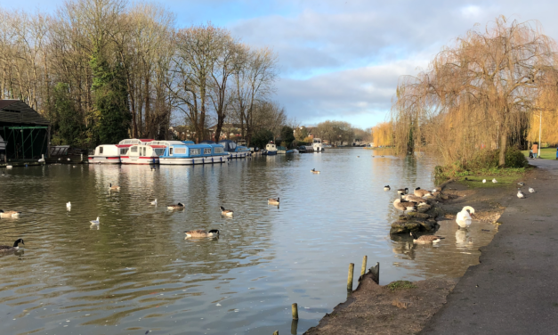 View from the riverbank: a way ahead after a £5m loss?