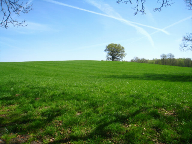 Funding bid to build two special needs schools