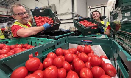 SEGRO staff volunteer across the region