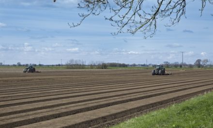 East of England farmland values expected to see continued growth after strong 2022
