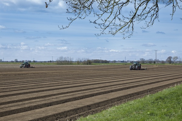 East of England farmland values expected to see continued growth after strong 2022