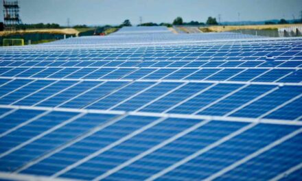 Solar to power all of Westcott Venture Park