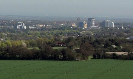 Partner needed for Basingstoke regeneration