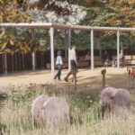 Oxford’s ‘burial meadow’ recommended for approval