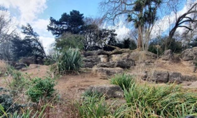 Battersea Park waterfall to be returned after long absence