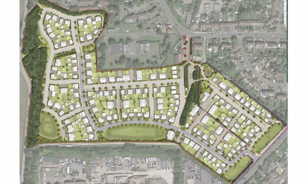 Haslams completes 200-home land sale