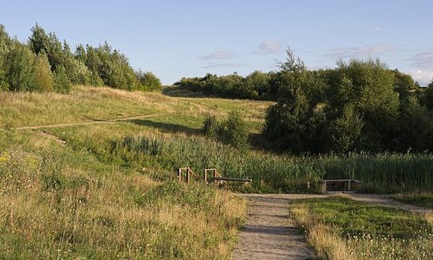 Norfolk could be set for a new country park