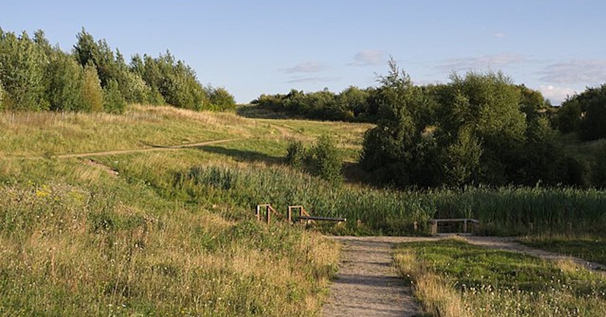Norfolk could be set for a new country park