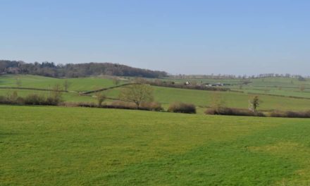 Councillor’s warning for land buyers