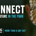 Ealing wants a regional park in Greenford